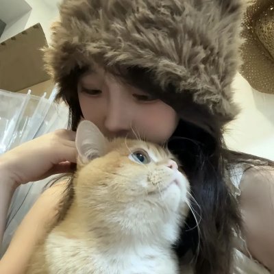 绽放的玫瑰
