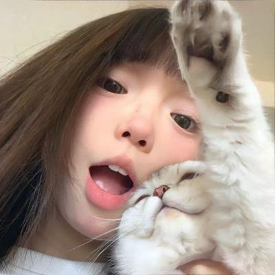 道格与蓝猫